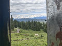 -新疆那拉提国家旅游度假区