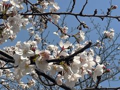 -西北湖绿化广场