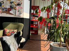 -72 COFFEE(东朝阳路店)