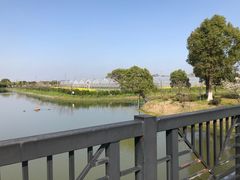 -上海多利农业发展有限公司