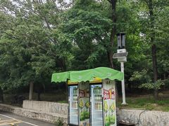 -白水寺森林公园