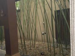 -春晖园度假酒店温泉