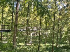 -黄海国家森林公园