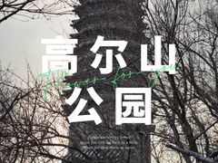 -高尔山公园