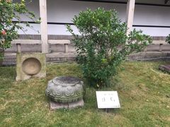 -郑和公园
