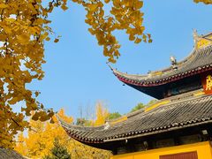 -西园戒幢律寺