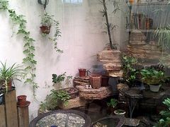 -燕庭·纯燕窝·甜品下午茶(南京西路店)