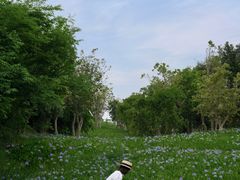 -白鹭湾湿地公园