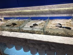 -火锅岛潮牌自助餐厅(天津天佑城店)