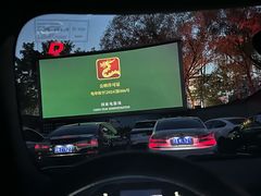 -枫花园汽车电影院(朝阳公园店)