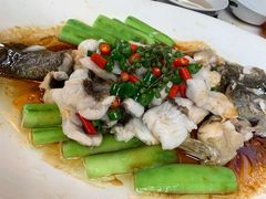 -猪肉婆私房菜(容桂总店)
