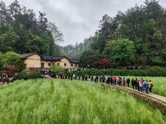 -韶山毛泽东同志故居