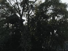 -房湖公园