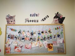 -芭比堂动物医院·犬猫全科·异宠专科(雁塔分院)