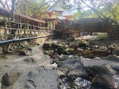 -天门沟九州驿站树上汤泉