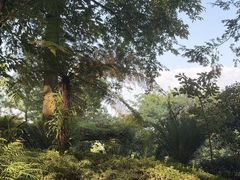 -南山植物园