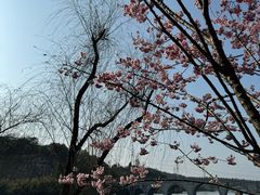 -重庆园博园