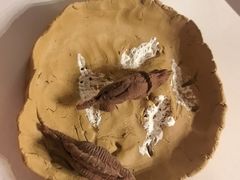 -大连金石滩绿发温泉假日酒店