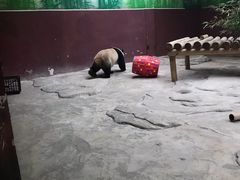 -杭州野生动物世界