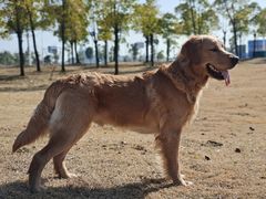 -柳湖沙月沙滩公园