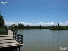 -大湾区中央湿地公园