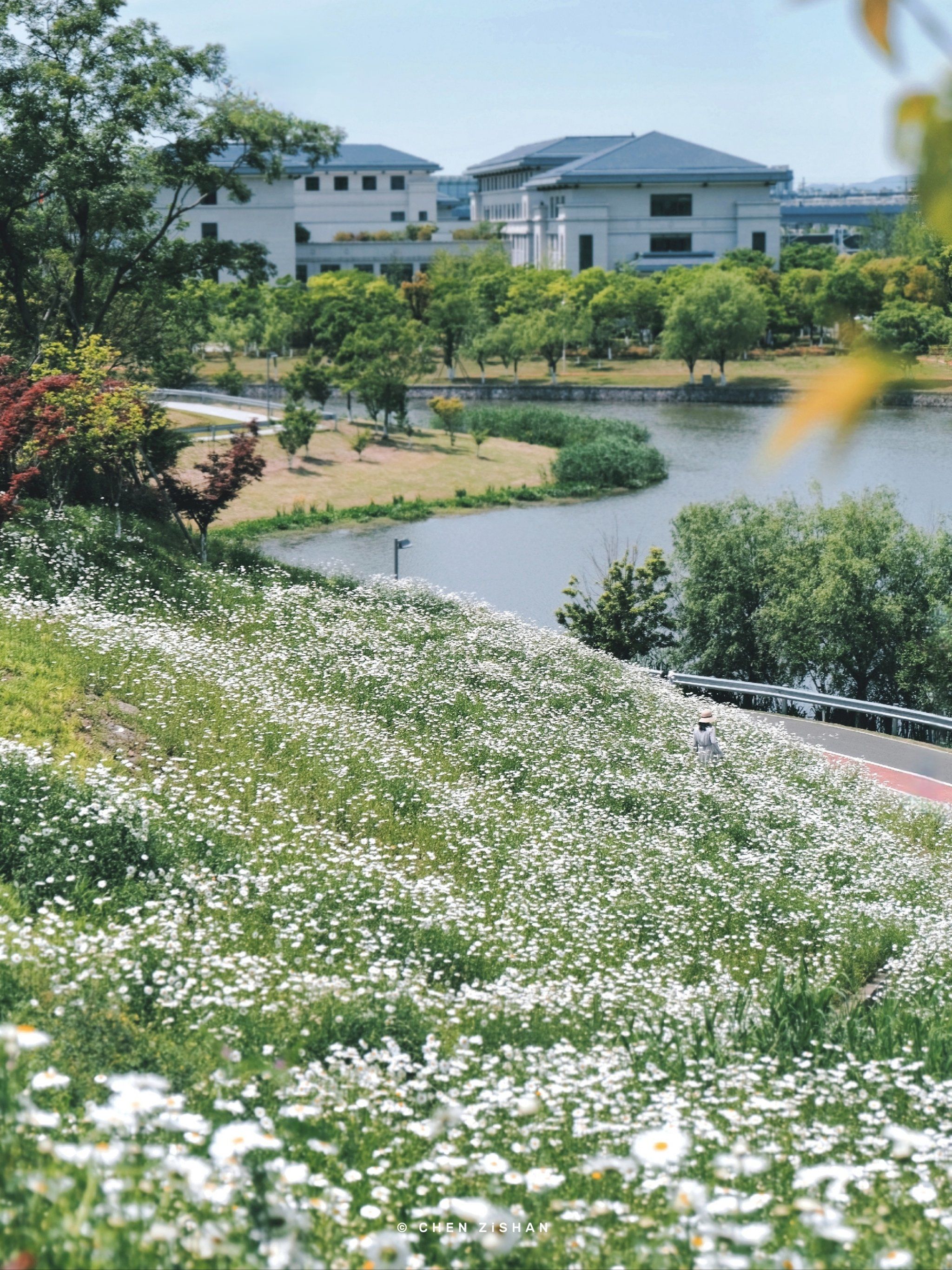 n	
一半山水一半花开,
就在慈城这个湖滨公园,
花已开,错过