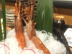 牡丹虾-山之川日料放题(通州店)