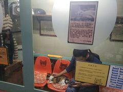 -猫咪博物馆(顶澳仔猫街店)
