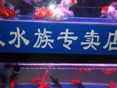 -三旗百汇商品城