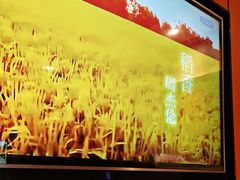 -星聚会KTV(复地活力城店)