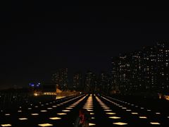 -南京眼步行桥