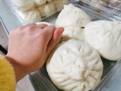 鲜肉笋丁大包子-白玉兰食品(甜云店)