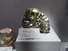 -湖南省地质博物馆