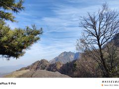 -太平万花山景区