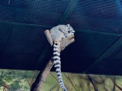 -海合安武汉极地海洋公园