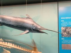 -天津自然博物馆