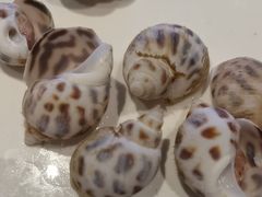 -徐记海鲜(大明宫|北二环店)