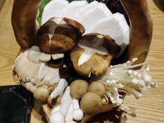 菌类拼盘-掂档潮汕牛肉火锅(沈阳万象城店)