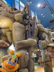 -卡通尼·Safari非洲探索乐园·生日会(金桥国际商业广场店)