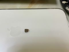 -小苍兰风铃草·礼物蛋糕(沈阳店)