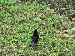 -福田红树林生态公园