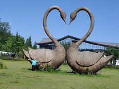 -东平国家森林公园
