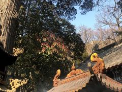-青岛崂山太清宫
