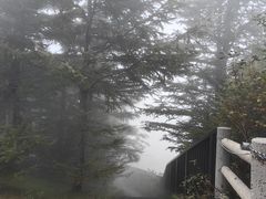 -富士山吉田線五合目