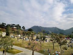 -白石龙音乐公园