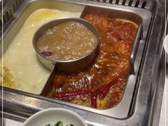 -巴奴毛肚火锅(九洲店)