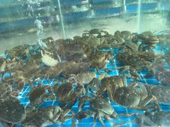 -蓝珊甄选海鲜自助·火锅大排档(近阿那亚店)