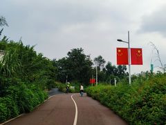 -白鹭湾湿地公园