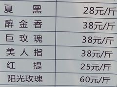 -金谷域澳洲庄园