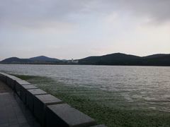 -水上明月·湖景餐厅
